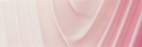 Framed Pink Satin Print