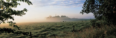 Framed Field with cows, Lovo Uppland Sweden Print