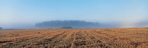 Framed Mist in Lovo Uppland Sweden Print