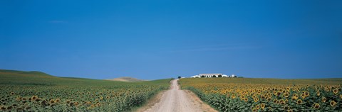 Framed Unpaved road Andalucia Spain Print