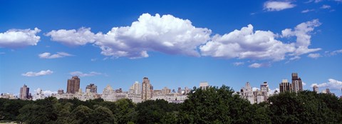 Framed Trees with row of buildings, Central Park, Manhattan, New York City, New York State, USA Print