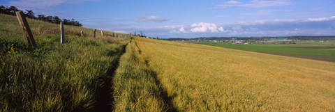 Framed Wooden fence along a farm, Ebey's Prairie, Whidbey Island, Island County, Washington State, USA Print
