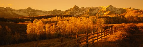 Framed Dallas Divide, San Juan Mountains, Colorado (sepia) Print