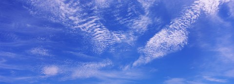 Framed Low angle view of cirrocumulus clouds in the sky Print