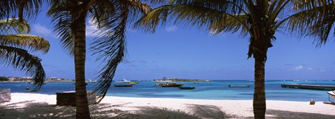 Framed Palm trees on the beach, Anguilla Print