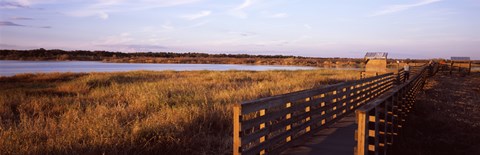Framed Boardwalk in a state park, Myakka River State Park, Sarasota, Sarasota County, Florida, USA Print