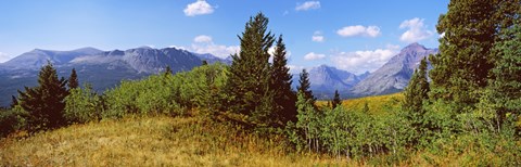 Framed Trees with mountains in the background, Looking Glass, US Glacier National Park, Montana, USA Print