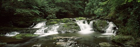 Framed Dingmans Creek flowing through a forest, Dingmans Falls Area, Delaware Water Gap National Recreation Area, Pennsylvania, USA Print