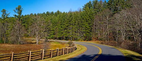 Framed Road passing through a forest, Blue Ridge Parkway, North Carolina, USA Print
