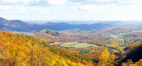 Framed Trees on a hill, North Carolina, USA Print