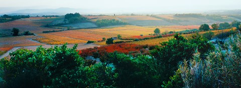 Framed Autumn Colors, Provence-Alpes-Cote d&#39;Azur, France Print