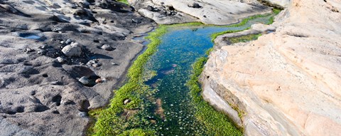 Framed Stream flowing through a rocky landscape, Point Lobos State Reserve, Carmel, Monterey County, California Print