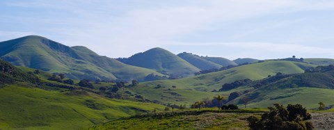 Framed High angle view of a valley, Edna Valley, San Luis Obispo County, California, USA Print