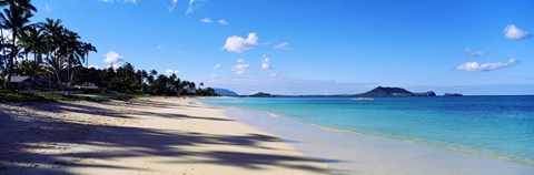 Framed Palm trees on the beach, Lanikai Beach, Oahu, Hawaii, USA Print
