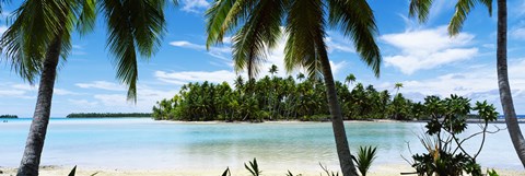 Framed Palm trees on the beach, Rangiroa Atoll, French Polynesia Print