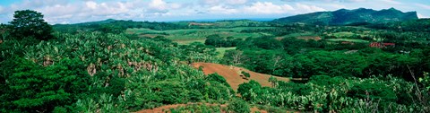 Framed Trees on a hill, Chamarel, Mauritius Island, Mauritius Print