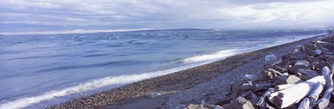 Framed Rocks on the coast, Fort Casey State Park, Island County, Washington State, USA Print