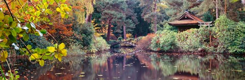 Framed Japanese Garden in autumn, Tatton Park, Cheshire, England Print