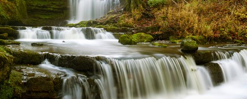 Framed Waterfalls in a forest, Scaleber Force, Yorkshire Dales, North Yorkshire, England Print