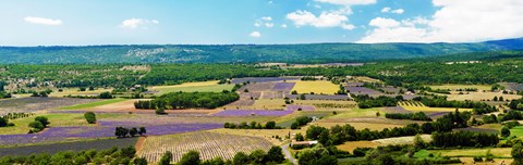 Framed Aerial view of fields, Provence-Alpes-Cote d&#39;Azur, France Print