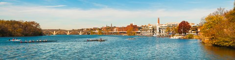 Framed Crew teams in their sculls on the Potomac River at Old Georgetown Waterfront, Washington DC, USA Print