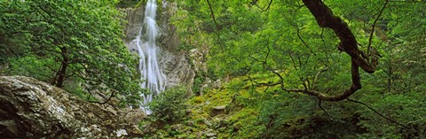 Framed Aber Falls in a forest, Abergwyngregyn, Gwynedd, Wales Print