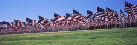 Framed American flags in memory of 9/11, Pepperdine University, Malibu, California Print