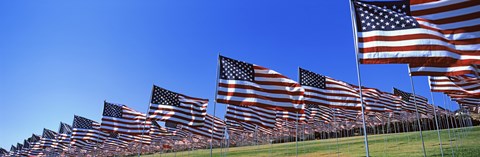 Framed American flags, Pepperdine University, Malibu, California Print