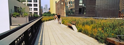 Framed Walkway in a linear park, High Line, New York City, New York State, USA Print