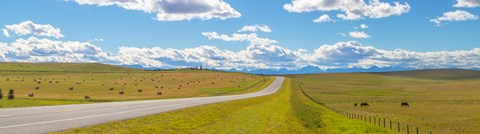 Framed Road passing through a field, Alberta, Canada Print
