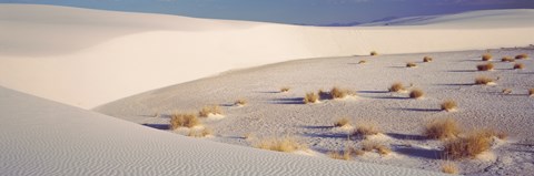 Framed View of the White Sands Desert in New Mexico Print