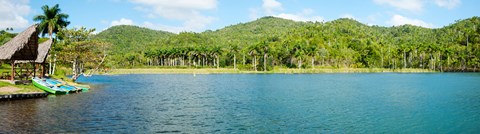 Framed Trees on a hill, Las Terrazas, Pinar Del Rio Province, Cuba Print