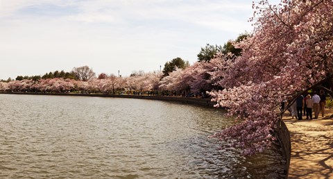 Framed Tidal Basin, Washington DC Print
