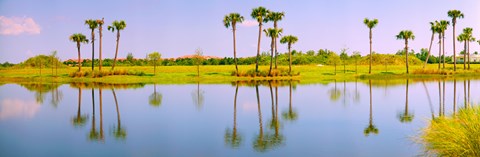 Framed Reflection of trees on water, Lake Worth, Palm Beach County, Florida, USA Print