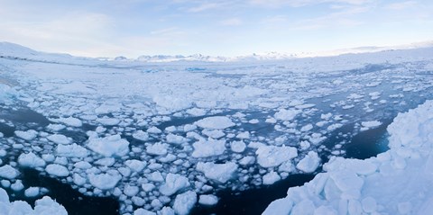 Framed Ice floating in fjord, Tiniteqilaaq, Greenland Print