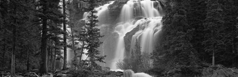 Framed Waterfall in a forest, Banff, Alberta, Canada (black and white) Print