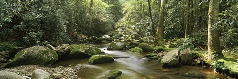 Framed Roaring Fork River, Great Smoky Mountains, Tennessee Print