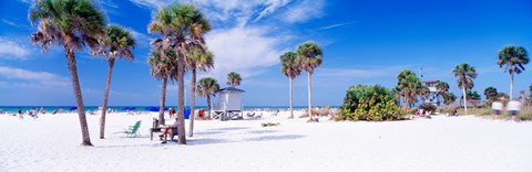 Framed Palm trees on the beach, Siesta Key, Gulf of Mexico, Florida, USA Print