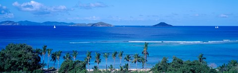 Framed Palm trees on the beach, British Virgin Islands Print