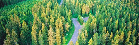 Framed Fall aerial road forest Kuopio Finland Print