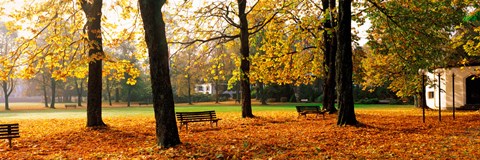 Framed Park Bavaria Germany Print