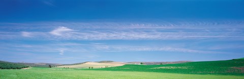 Framed Farm Audausia Cordoba vicinity Spain Print