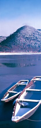 Framed Hirosawa-no-Ike Kyoto Japan Print