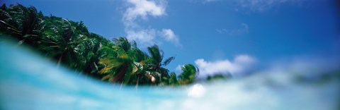 Framed Palau Island Print