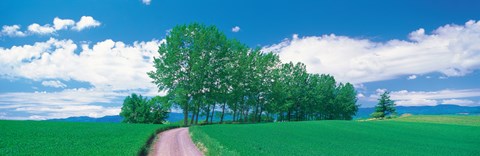 Framed Dirt Road through Fields, Biei-Cho Hokkaido Japan Print