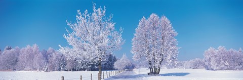 Framed Winter scenic Germany Print