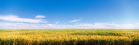 Framed Farm field Twin Falls ID USA Print