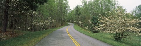 Framed Road passing through a landscape, Blue Ridge Parkway, Virginia, USA Print