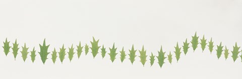 Framed Line of Holly Leaves Print