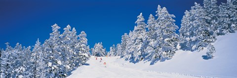 Framed Shiga Kogen Nagano Japan Print